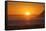 Sunset over Marlborough Sounds-Nick-Framed Stretched Canvas