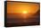 Sunset over Marlborough Sounds-Nick-Framed Stretched Canvas