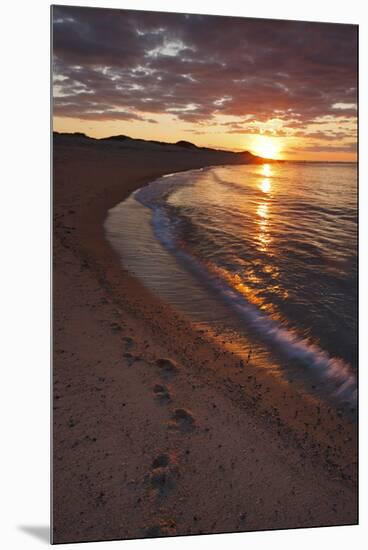 Sunset over Meadow Beach, Cape Cod National Seashore, Massachusetts-Jerry & Marcy Monkman-Mounted Premium Photographic Print