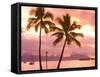 Sunset over Moorea, near Papeete, Tahiti Nui, Society Islands, French Polynesia, South Pacific-Stuart Westmoreland-Framed Stretched Canvas