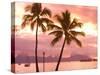 Sunset over Moorea, near Papeete, Tahiti Nui, Society Islands, French Polynesia, South Pacific-Stuart Westmoreland-Stretched Canvas