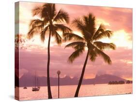 Sunset over Moorea, near Papeete, Tahiti Nui, Society Islands, French Polynesia, South Pacific-Stuart Westmoreland-Stretched Canvas