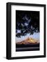 Sunset over Mount Hood, Oregon, USA-Art Wolfe-Framed Photographic Print