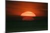 Sunset over North Sea Silhouettes of Ships on the Horizon-null-Mounted Photographic Print