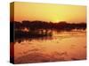 Sunset over Pond in Lake Woodruff National Wildlife Refuge-James Randklev-Stretched Canvas