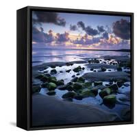 Sunset over Rock Pool, Strandhill, County Sligo, Connacht, Republic of Ireland, Europe-Stuart Black-Framed Stretched Canvas