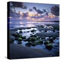 Sunset over Rock Pool, Strandhill, County Sligo, Connacht, Republic of Ireland, Europe-Stuart Black-Stretched Canvas