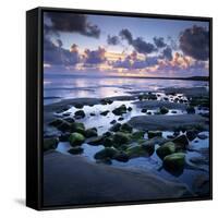 Sunset over Rock Pool, Strandhill, County Sligo, Connacht, Republic of Ireland, Europe-Stuart Black-Framed Stretched Canvas