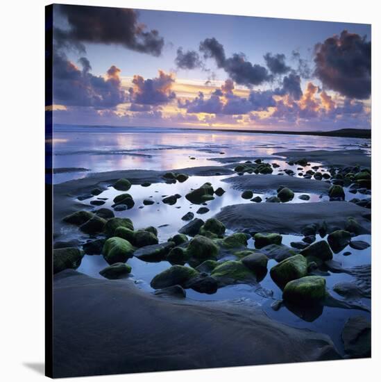 Sunset over Rock Pool, Strandhill, County Sligo, Connacht, Republic of Ireland, Europe-Stuart Black-Stretched Canvas