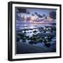 Sunset over Rock Pool, Strandhill, County Sligo, Connacht, Republic of Ireland, Europe-Stuart Black-Framed Premium Photographic Print