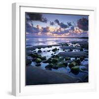 Sunset over Rock Pool, Strandhill, County Sligo, Connacht, Republic of Ireland, Europe-Stuart Black-Framed Photographic Print