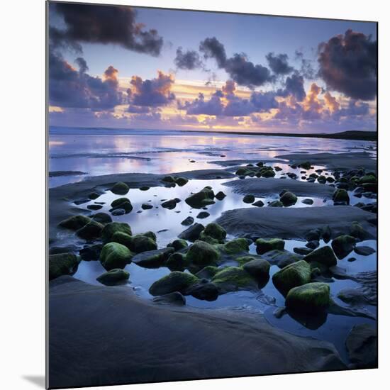 Sunset over Rock Pool, Strandhill, County Sligo, Connacht, Republic of Ireland, Europe-Stuart Black-Mounted Photographic Print