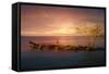 Sunset Over Rocky Jetty-Anthony Paladino-Framed Stretched Canvas