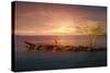 Sunset Over Rocky Jetty-Anthony Paladino-Stretched Canvas