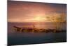Sunset Over Rocky Jetty-Anthony Paladino-Mounted Giclee Print