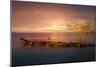 Sunset Over Rocky Jetty-Anthony Paladino-Mounted Giclee Print