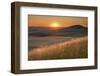 Sunset over rolling hills and farmland of Palouse Region, Washington State.-Alan Majchrowicz-Framed Photographic Print