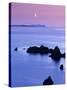 Sunset over Sand Wick and Rising Moon over Foula in Distance, Eshaness, Shetland, Scotland, UK-Patrick Dieudonne-Stretched Canvas