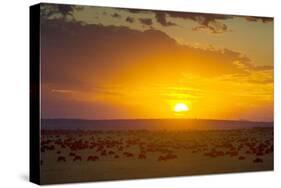 Sunset over Serengeti National Park-null-Stretched Canvas