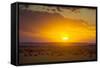 Sunset over Serengeti National Park-null-Framed Stretched Canvas