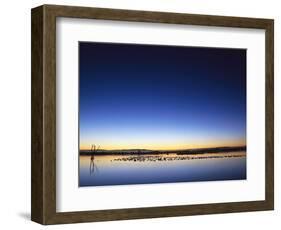 Sunset over Snow Geese on Water-Arthur Morris-Framed Photographic Print