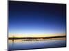 Sunset over Snow Geese on Water-Arthur Morris-Mounted Photographic Print