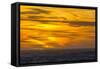 Sunset over South Georgia, U.K. Overseas Protectorate, South Atlantic Ocean, Polar Regions-Michael Nolan-Framed Stretched Canvas