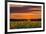 Sunset over Sunflowers-Michael Blanchette Photography-Framed Photographic Print