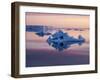 Sunset over tabular and glacial ice near Snow Hill Island, Weddell Sea, Antarctica-Michael Nolan-Framed Photographic Print