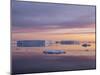 Sunset over tabular and glacial ice near Snow Hill Island, Weddell Sea, Antarctica-Michael Nolan-Mounted Photographic Print