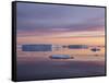 Sunset over tabular and glacial ice near Snow Hill Island, Weddell Sea, Antarctica-Michael Nolan-Framed Stretched Canvas