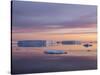 Sunset over tabular and glacial ice near Snow Hill Island, Weddell Sea, Antarctica-Michael Nolan-Stretched Canvas
