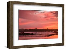 Sunset over the Annisquam Harbor, Annisquam, Cape Ann, Essex County, Massachusetts, USA-null-Framed Photographic Print
