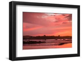 Sunset over the Annisquam Harbor, Annisquam, Cape Ann, Essex County, Massachusetts, USA-null-Framed Photographic Print