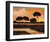 Sunset over the Arno River-Judith D'Agostino-Framed Art Print
