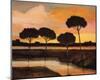 Sunset over the Arno River-Judith D'Agostino-Mounted Art Print