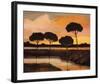 Sunset over the Arno River-Judith D'Agostino-Framed Art Print