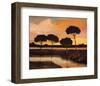 Sunset over the Arno River-Judith D'Agostino-Framed Art Print