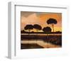 Sunset over the Arno River-Judith D'Agostino-Framed Art Print