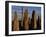 Sunset over the Central Circle of Ancient Standing Stones at Callanish, Dating to Neolithic Times-Mark Hannaford-Framed Photographic Print