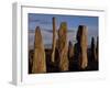 Sunset over the Central Circle of Ancient Standing Stones at Callanish, Dating to Neolithic Times-Mark Hannaford-Framed Photographic Print