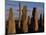 Sunset over the Central Circle of Ancient Standing Stones at Callanish, Dating to Neolithic Times-Mark Hannaford-Mounted Photographic Print