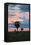 Sunset over the Cerrado Landscape and Palm Trees-Alex Saberi-Framed Stretched Canvas