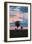 Sunset over the Cerrado Landscape and Palm Trees-Alex Saberi-Framed Premium Photographic Print