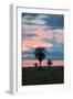 Sunset over the Cerrado Landscape and Palm Trees-Alex Saberi-Framed Premium Photographic Print