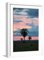 Sunset over the Cerrado Landscape and Palm Trees-Alex Saberi-Framed Photographic Print