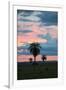 Sunset over the Cerrado Landscape and Palm Trees-Alex Saberi-Framed Photographic Print