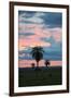 Sunset over the Cerrado Landscape and Palm Trees-Alex Saberi-Framed Photographic Print