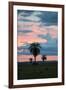 Sunset over the Cerrado Landscape and Palm Trees-Alex Saberi-Framed Photographic Print