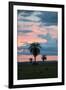 Sunset over the Cerrado Landscape and Palm Trees-Alex Saberi-Framed Photographic Print